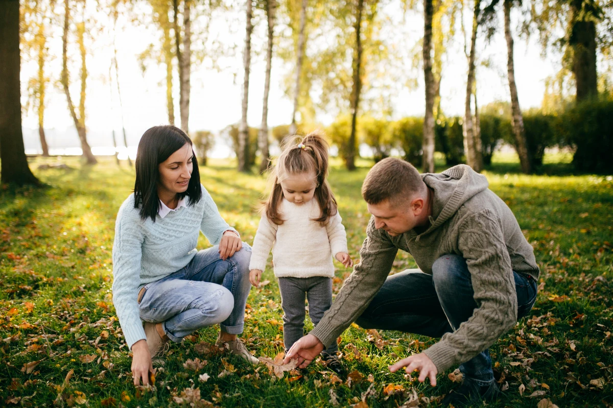 Les droits de la nature : une révolution juridique en marche
